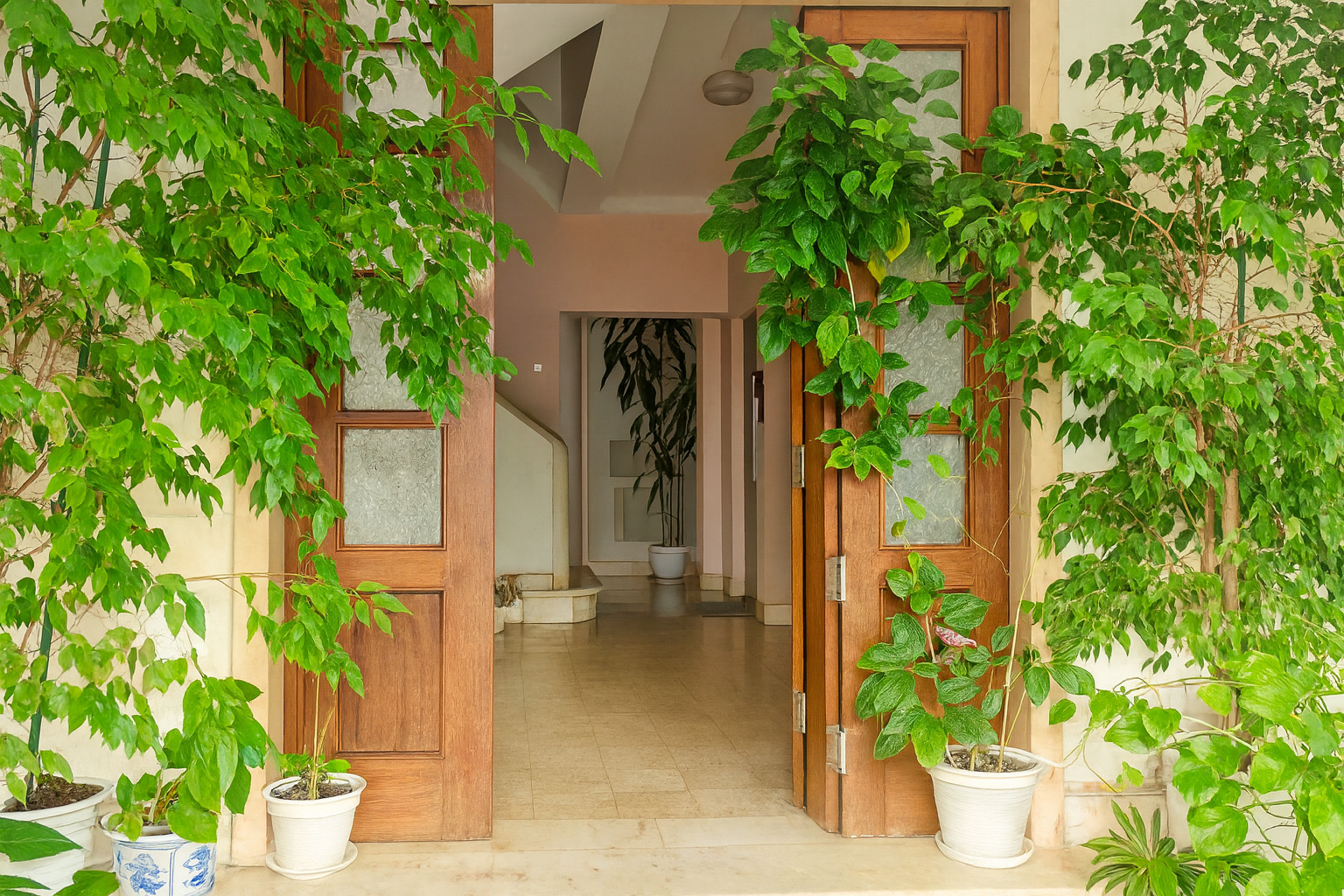 e19876aa-478c-4e8b-8b86-ae0f397a2d42